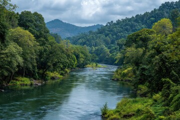 Scenic river landscape with dense forest trees