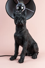 Light lamp growing in the room