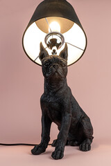 Light lamp growing in the room