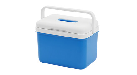 Compact blue and white cooler perfect for picnics camping outdoor events keeping drinks and food cold travel ready
