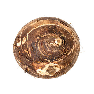 Top View of Raw Organic Taro Root Isolated on White Background