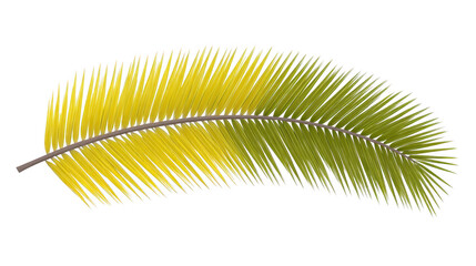 Fototapeta premium Tropical palm leaf green and yellow isolated on transparent background detailed texture natural botanical element summer vibe exotic plant decorative foliage fresh and vibrant