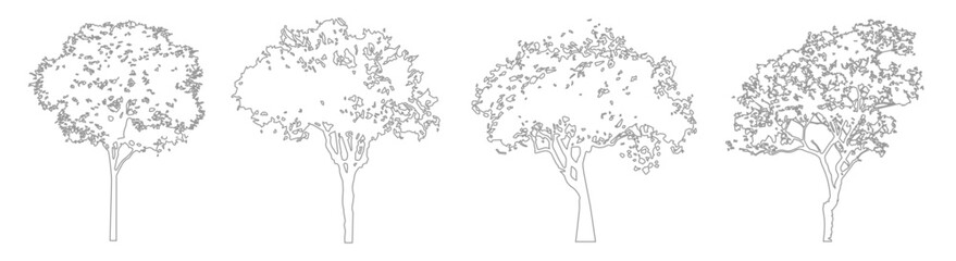 CAD Vegetation Line Drawings, Minimal Side View Trees for Architectural and Landscape Planning