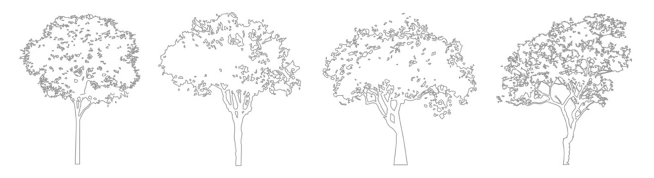 CAD Vegetation Line Drawings, Minimal Side View Trees for Architectural and Landscape Planning