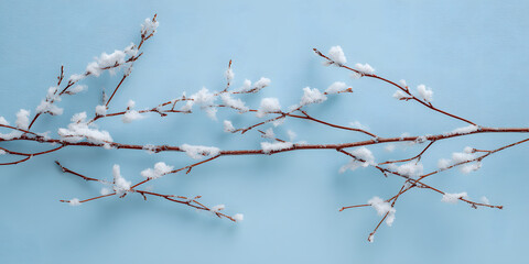 Obraz premium Snowy branches minimal winter nature scene