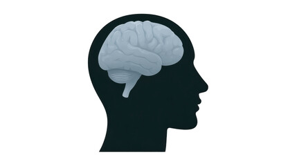 Silhouette head profile with detailed human brain illustration, symbolizing intelligence, mental health, psychology, and cognitive science, evoking curiosity and focus