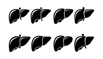 Human liver anatomy, medical organ, health science flat vector illustration