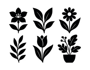 Fototapeta premium Adobe Illustrator Artwork