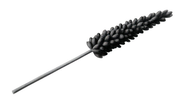 Black feather duster cleaning tool isolated on transparency background soft bristles long handle household supply dust removal simple and practical design