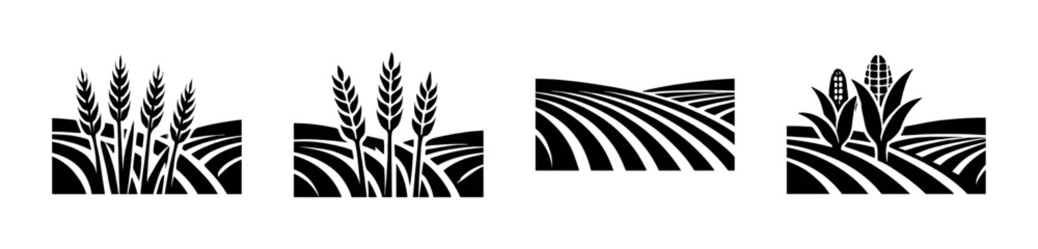 Farming landscape vector illustration with wheat and corn, flat vector style
