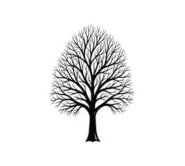 Obraz premium A solitary tree with bare branches stands prominently against a clean white background