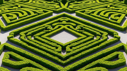 Intricate garden maze design