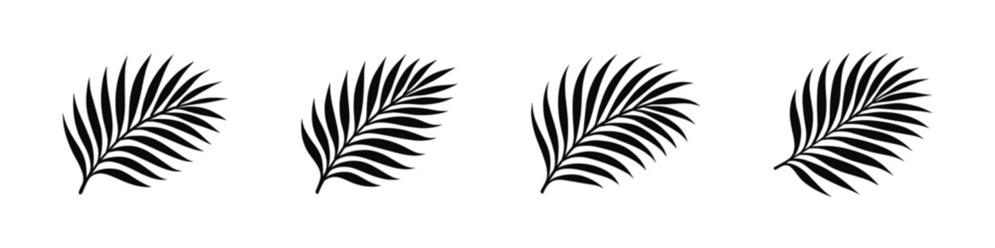 Palm leaf collection, tropical foliage, flat vector illustration