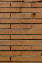 A brick wall where we can appreciate different textures due to the material and some subtle details like a snail. Concept: Textures