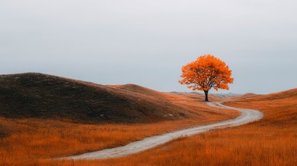 A singular, vibrant tree with fiery orange leaves stands along a winding path across undulating, barren terrain under a muted, overcast sky