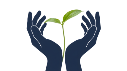 Abstract illustration of a sprout in hands emphasizing growth, care, nurturing, and environmental awareness on a clean white background
