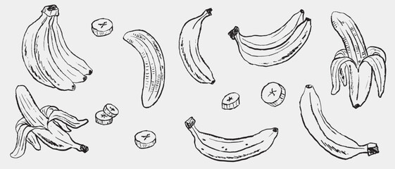 Hand drawn banana assortment. Vector sketch illustration in vintage crayon charcoal style, whole, peeled, and sliced bananas ideal for fruit packaging, educational materials, or tropical designs © Nataliya Pokrovska