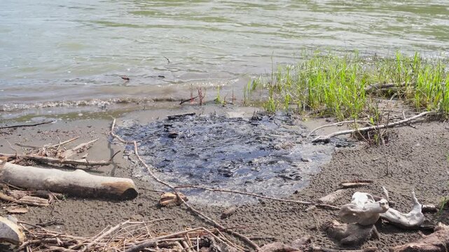 Big spot of tar pollution by river 