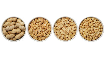 Four bowls presenting different stages of peanuts processed from whole shell to shelled, halved, and fully blanched over white