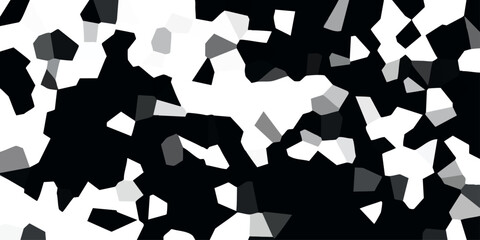 High contrast abstract geometric pattern with sharp black and white irregular polygons creating a bold graphic background for design