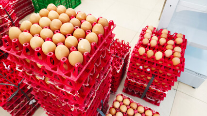 Pile of egg stock in a red egg tray, eggs ready to be sold