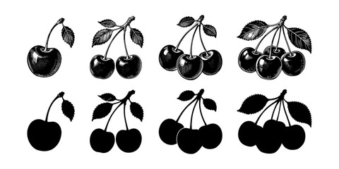 Detailed cherry fruit sketch illustrations with leaves in hand-drawn style, shown above black silhouettes, on a clean white background