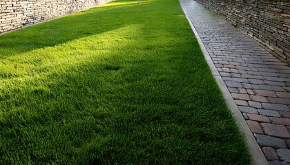 Obraz premium Green Lawn Next To Paved Walkway Landscaped Courtyard Element With Grass And Stone Path Photo