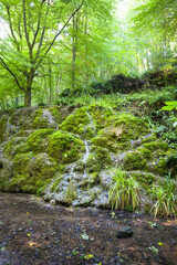 Alum Spring waterfall in Hackfall Woods, Yorkshire Dales, UK