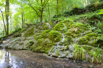 Alum Spring waterfall in Hackfall Woods, Yorkshire Dales, UK