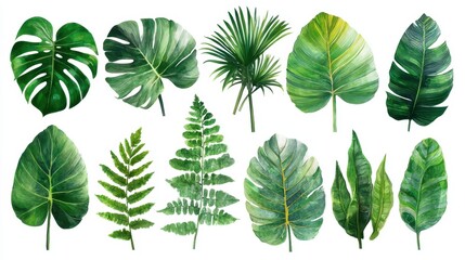 Obraz premium A collection of green leaves lies on a flat surface. The leaves include different shapes and sizes representing various plant species. They are arranged neatly for display.