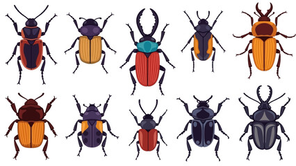 Vector set of nature illustrations featuring cartoon insects and animal silhouettes including butterfly, beetle, bee, ant, ladybug, dragonfly, and spider for art and design © baedowi