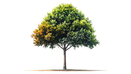 Single abstract tree