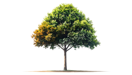 Single abstract tree