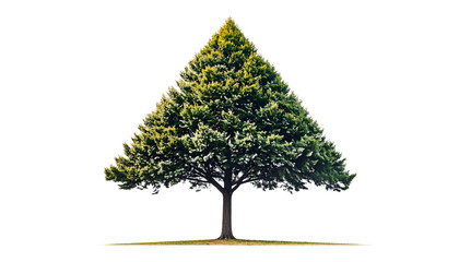 Single abstract tree