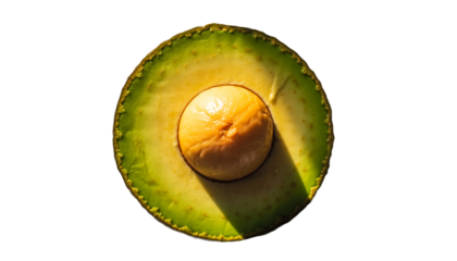 Sliced avocado half with pit vibrant green