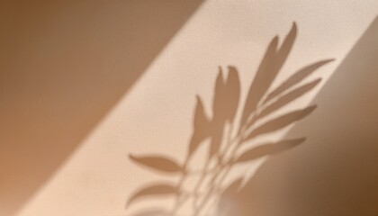 Minimalist Botanical Shadow Cast On Neutral Beige Background Calm Monochrome Soft Tones Suitable For 90S Pastel Organic Themes Background Texture Digital Art Modern Design