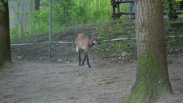 Zoo