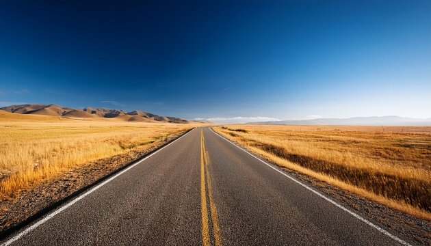 vast open road through golden grasslands under clear blue sky inviting adventure and journey into nature s breathtaking landscape