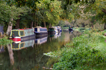 Narrowboats moored along the River Wey Navigation in Surrey woodland, England