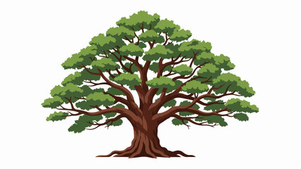 Green tree illustration features broad trunk, lush canopy on white. This striking green tree illustration shows strong branches, dense leaves, and deep roots.