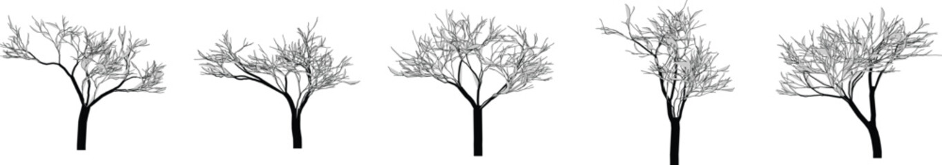 Minimal Bare Tree Vector Set . Leafless Winter Trees Silhouette Collection