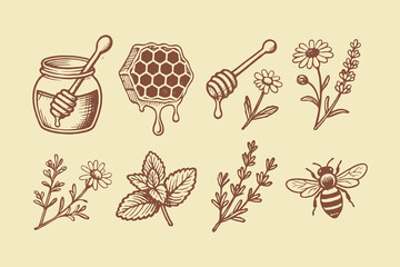 Hand-drawn illustrations of honey jar, honeycomb, bee, and various herbs and flowers on beige background, concept of natural ingredients