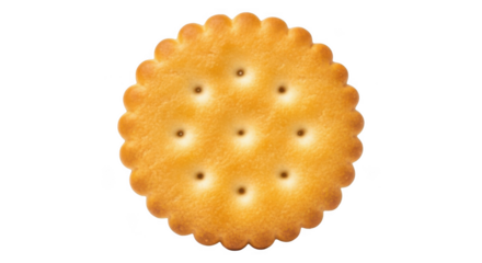 Round digestive biscuit with holes on transparent background