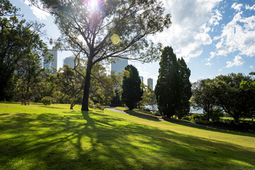 View of the Royal Botanic Garden, and Central Business district beyond,  Sydney, NSW, Australia