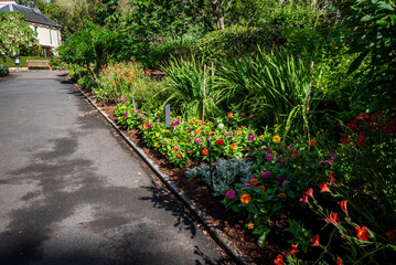 Border comprising various spring flowers, Royal Botanic Garden, Sydney, NSW, Australia