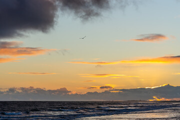Bird soars beneath dramatic clouds over a glowing sea at sunrise.