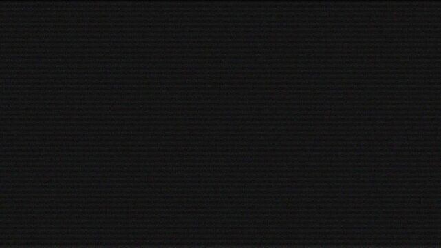 CRT scan lines VHS noise seamless loop animation on black background. 4K animated noise overlay for CRT effects, old film texture, retro video editing, and vintage motion graphics.