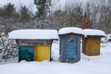 Colorful wooden beehives covered with snow on a winter day