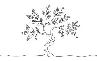 Simple Outline of a Tree with Leaves isolated on a transparent background
