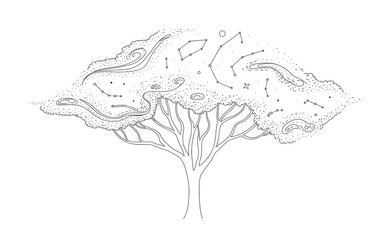 Tree with Constellations in its Canopy isolated on a transparent background